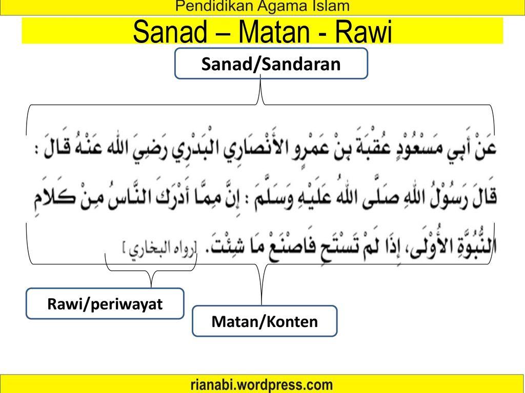 Detail Contoh Sanad Hadits Koleksi Nomer 9 detail-contoh-sanad-hadits-koleksi-nomer-9