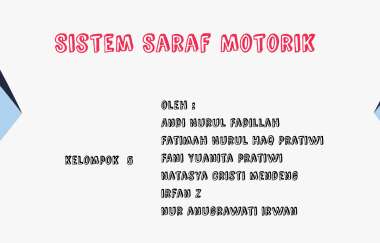 Detail Contoh Saraf Motorik Nomer 48