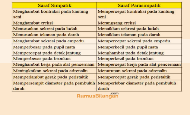 Detail Contoh Saraf Simpatik Nomer 30