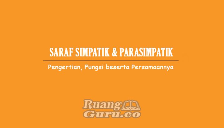 Detail Contoh Saraf Simpatik Nomer 32