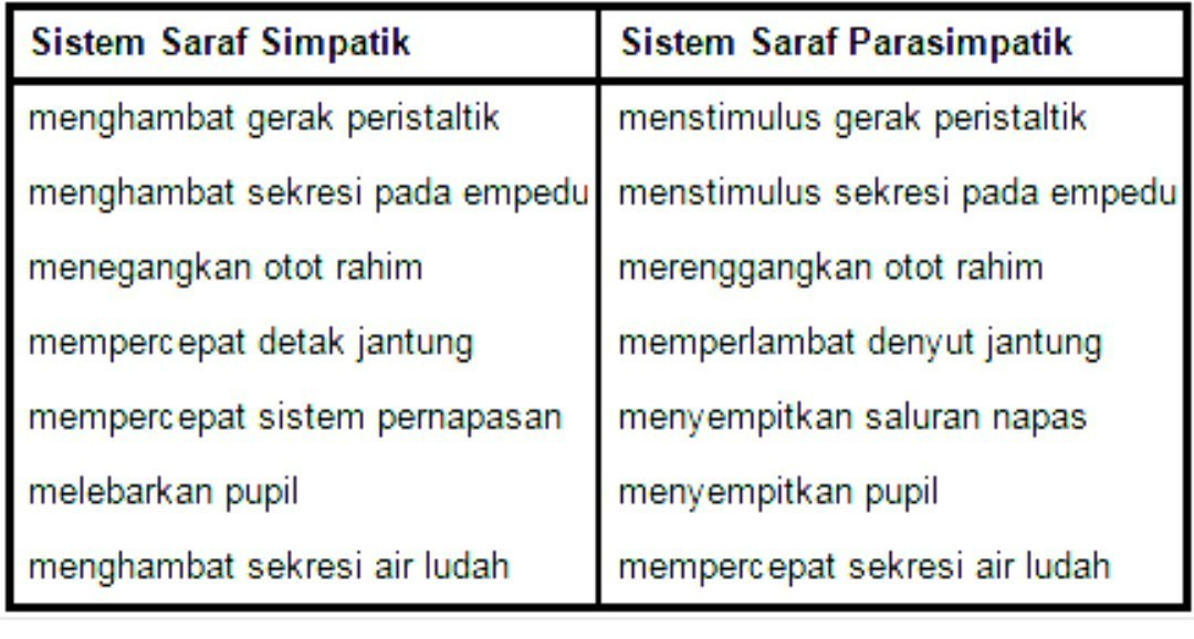 Detail Contoh Saraf Simpatik Nomer 57