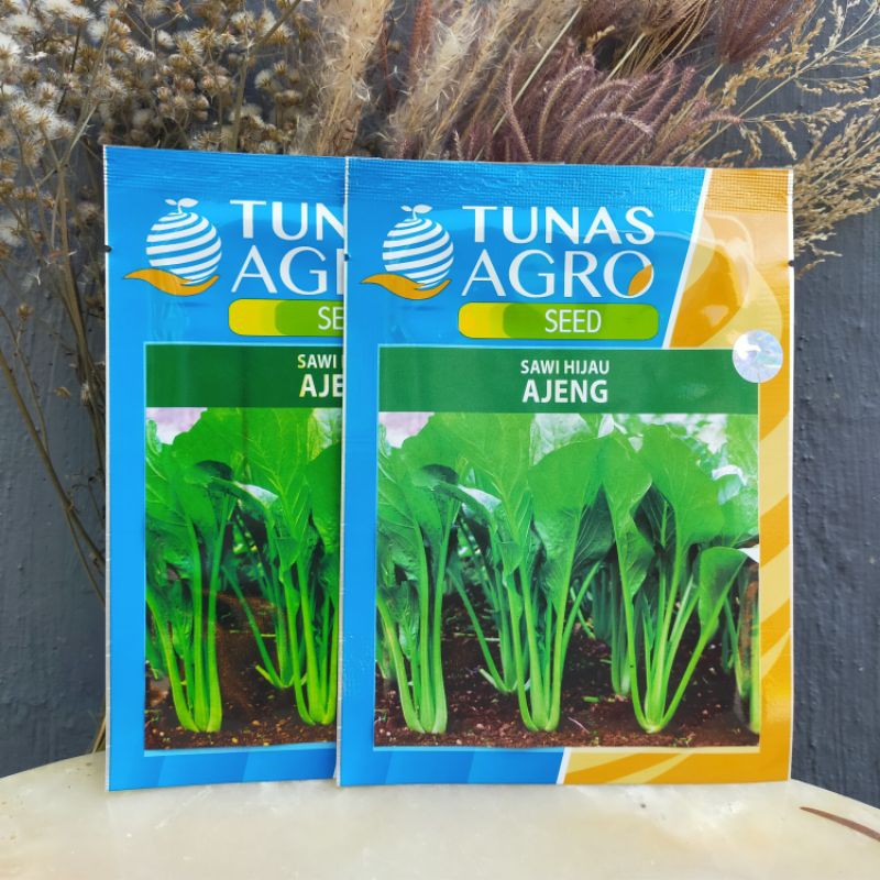 Detail Contoh Sayuran Tunas Nomer 45