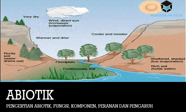 Detail Contoh Sda Biotik Nomer 27