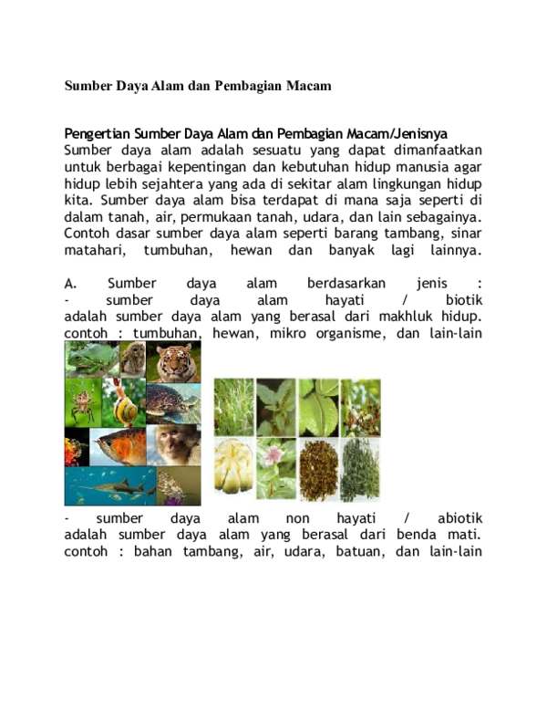 Detail Contoh Sda Biotik Nomer 48