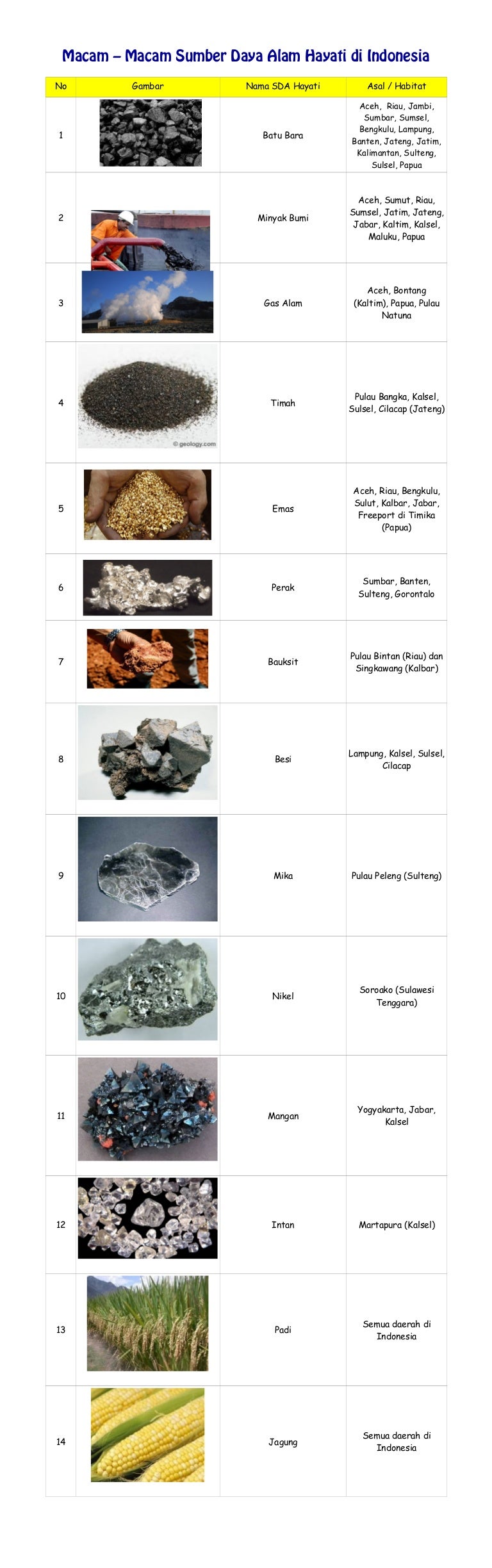 Detail Contoh Sda Hayati Nomer 29