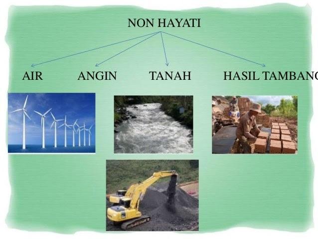 Detail Contoh Sda Hayati Dan Non Hayati Nomer 19