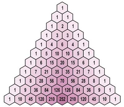 Detail Contoh Segitiga Pascal Nomer 2