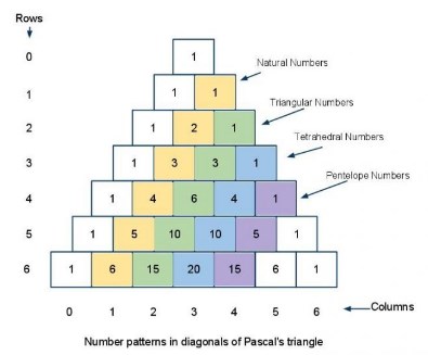 Detail Contoh Segitiga Pascal Nomer 19