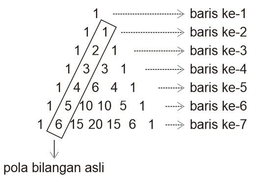 Detail Contoh Segitiga Pascal Nomer 45
