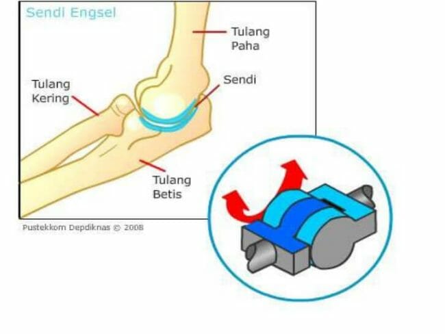 Detail Contoh Sendi Engsel Nomer 15