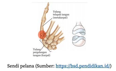 Detail Contoh Sendi Engsel Nomer 35