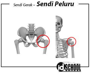 Detail Contoh Sendi Kaku Nomer 48