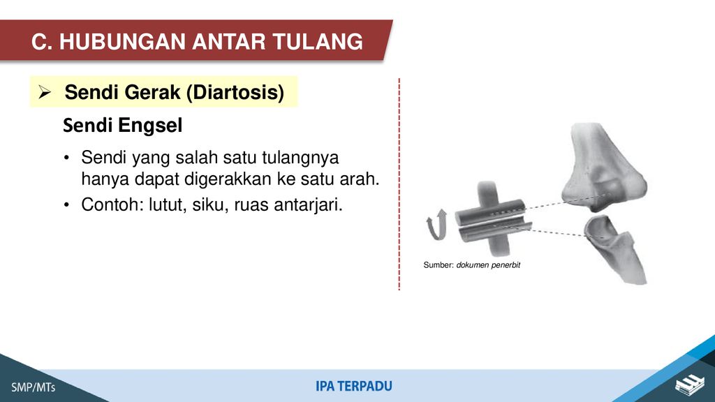 Detail Contoh Sendi Peluru Nomer 54