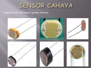 Detail Contoh Sensor Cahaya Nomer 16