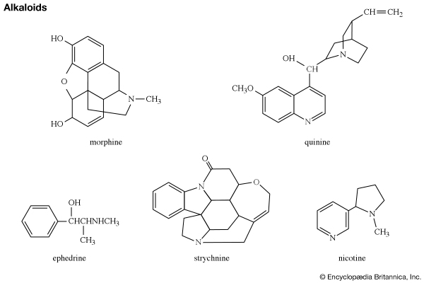 Detail Contoh Senyawa Alkaloid Nomer 4