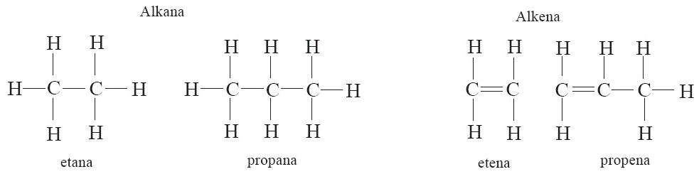 Detail Contoh Senyawa Alkana Nomer 26