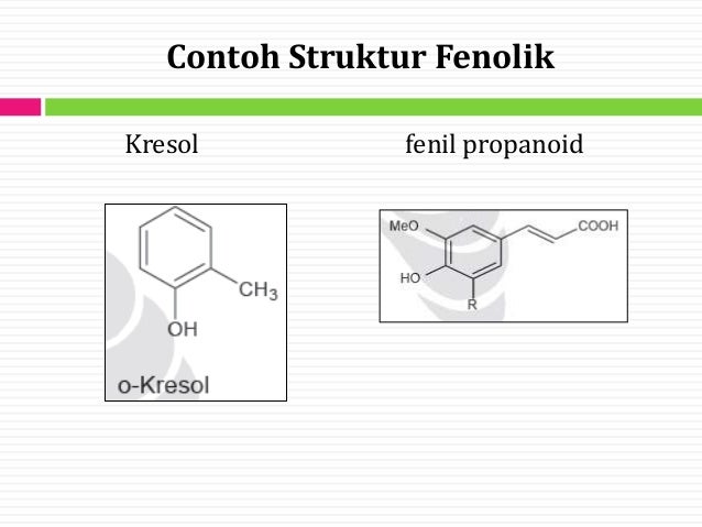 Detail Contoh Senyawa Fenol Nomer 4