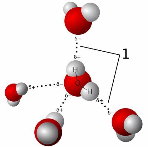 Detail Contoh Senyawa Ikatan Hidrogen Nomer 16
