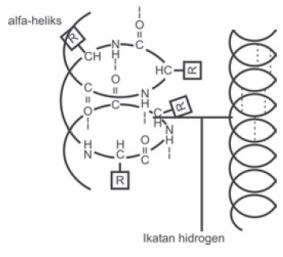 Detail Contoh Senyawa Ikatan Hidrogen Nomer 18