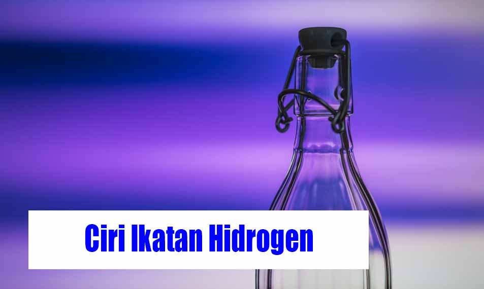 Detail Contoh Senyawa Ikatan Hidrogen Nomer 39