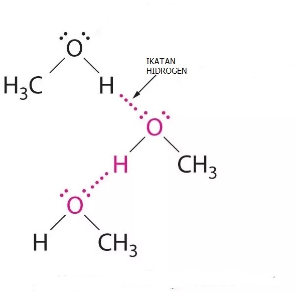 Detail Contoh Senyawa Ikatan Hidrogen Nomer 9