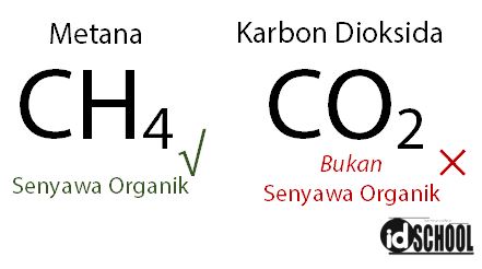 Detail Contoh Senyawa Karbon Anorganik Nomer 30