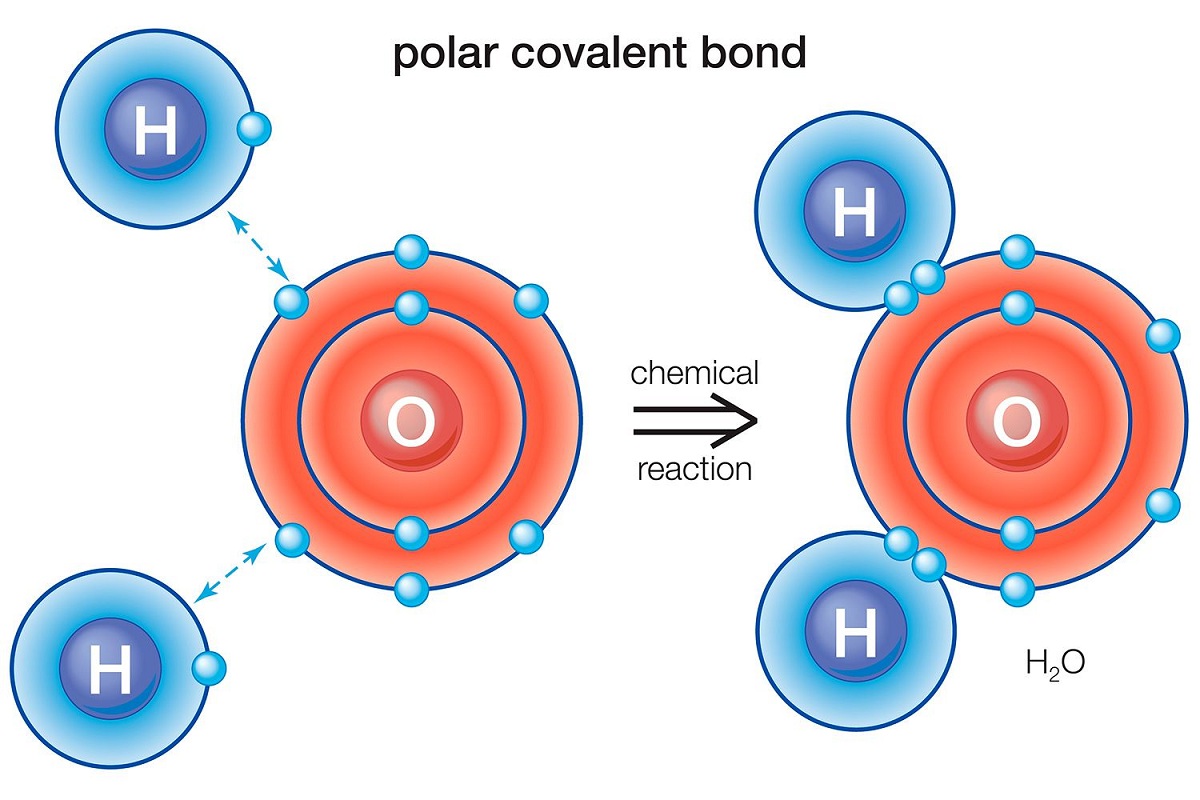 Detail Contoh Senyawa Non Polar Nomer 36