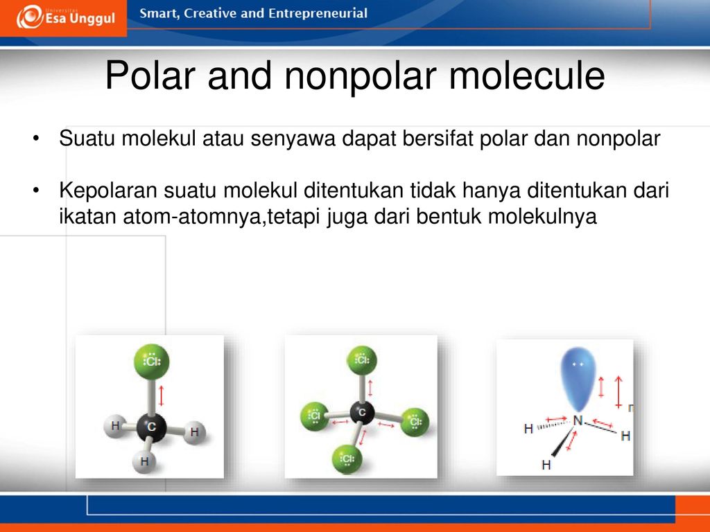 Detail Contoh Senyawa Non Polar Nomer 55