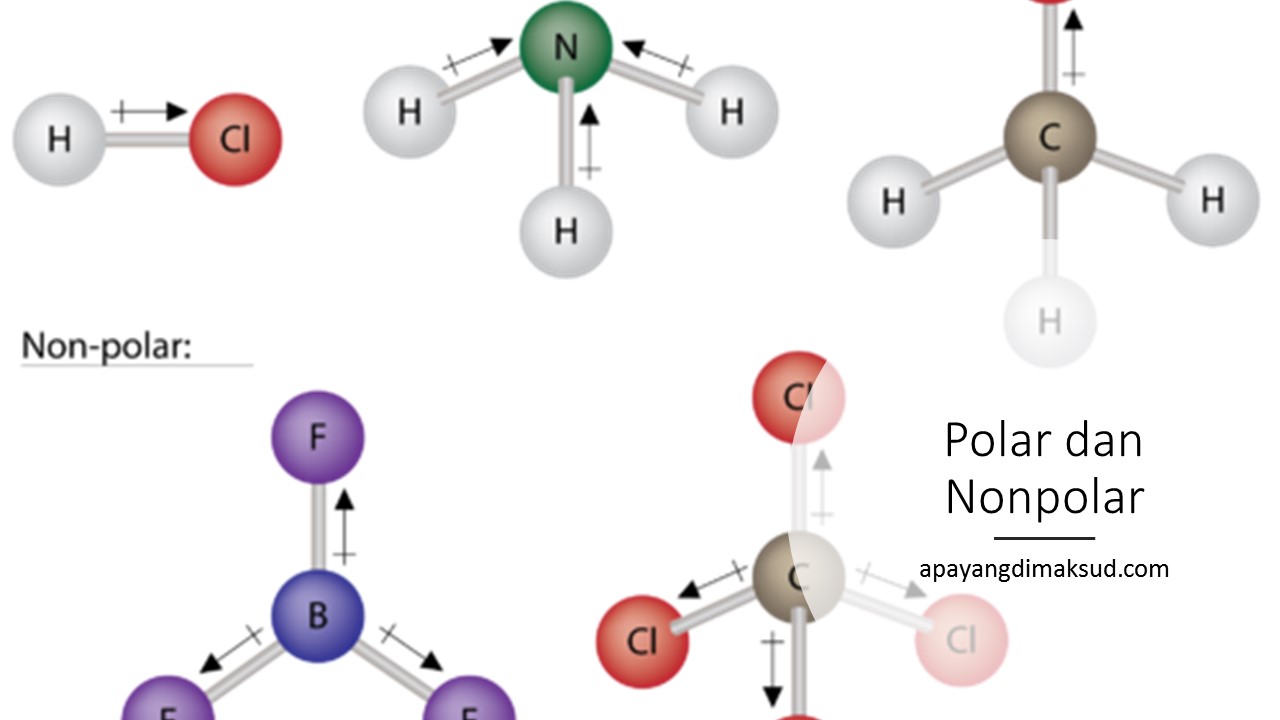 Detail Contoh Senyawa Polar Nomer 7