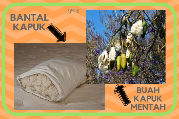 Detail Contoh Serat Biji Nomer 23