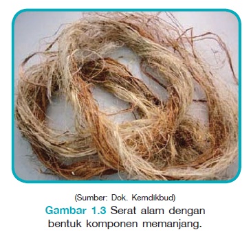 Detail Contoh Serat Biji Nomer 26