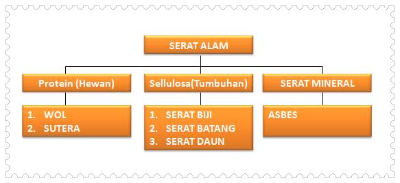Detail Contoh Serat Biji Nomer 28