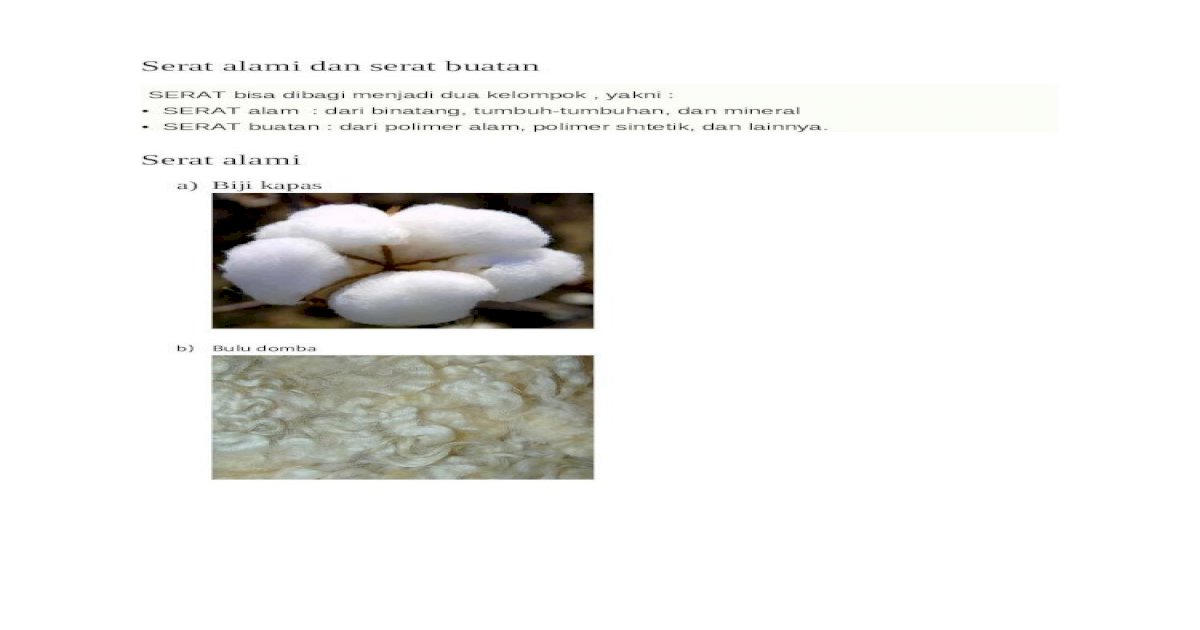Detail Contoh Serat Biji Nomer 31