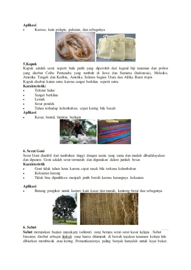 Detail Contoh Serat Biji Nomer 44
