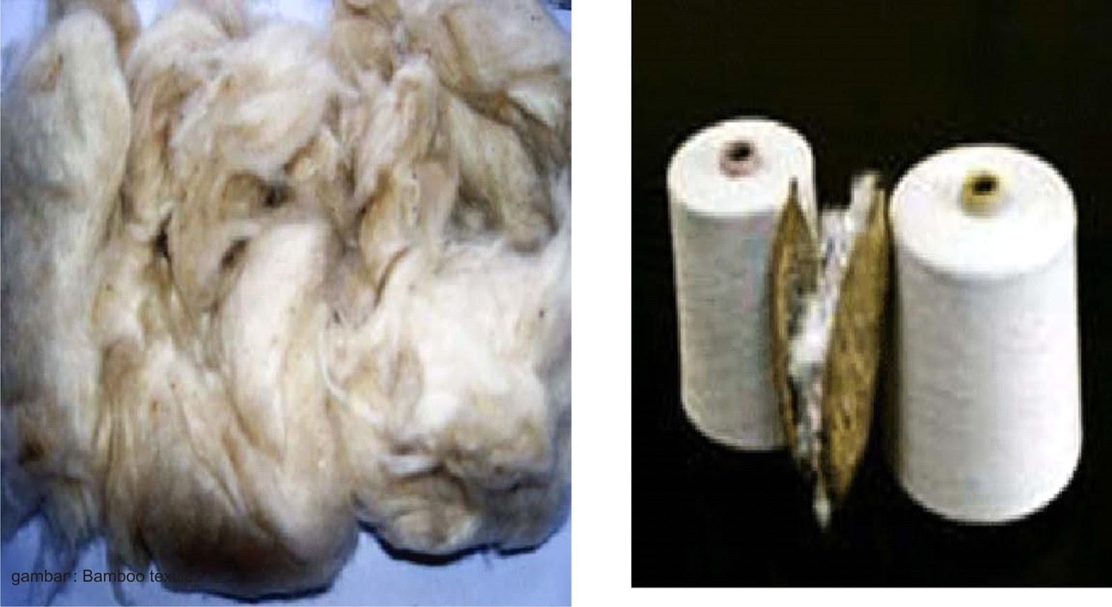 Detail Contoh Serat Biji Nomer 45