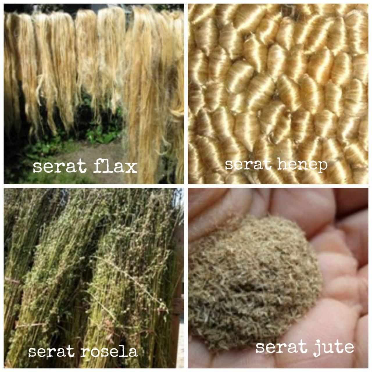 Detail Contoh Serat Biji Nomer 50
