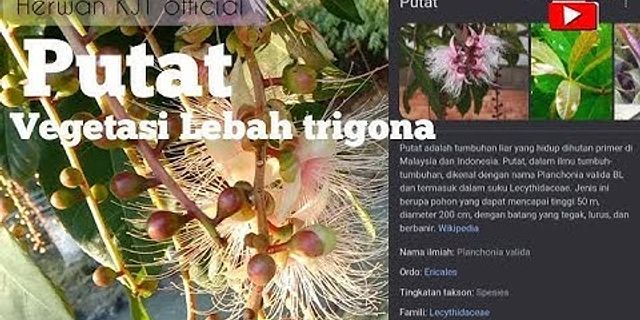 Detail Contoh Serat Biji Nomer 53