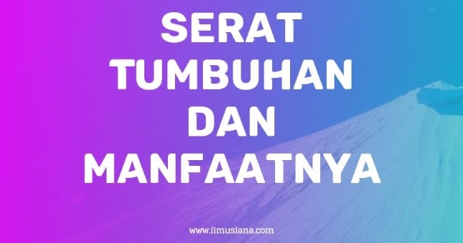 Contoh Serat Tumbuhan Dan Manfaatnya - KibrisPDR