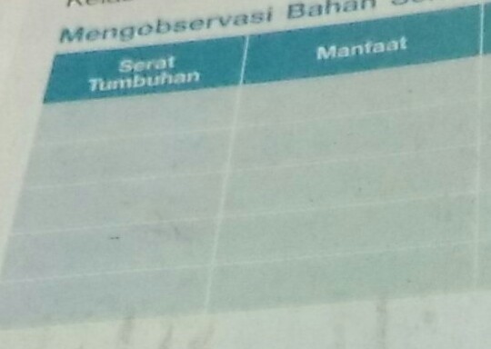 Detail Contoh Serat Tumbuhan Dan Manfaatnya Nomer 8