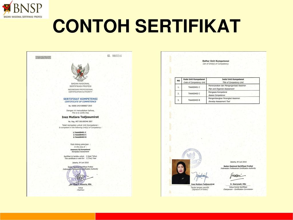 Detail Contoh Sertifikat Bnsp Nomer 24