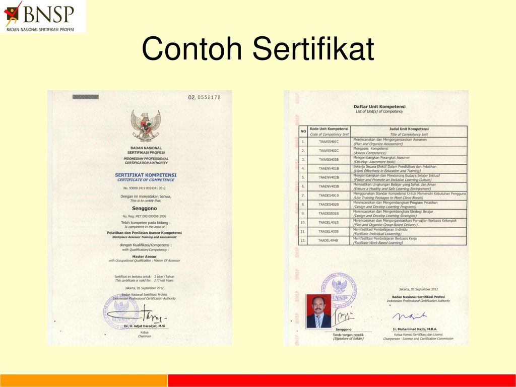 Detail Contoh Sertifikat Bnsp Nomer 30