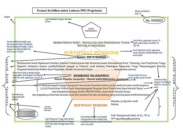 Detail Contoh Sertifikat Pendidik Nomer 25