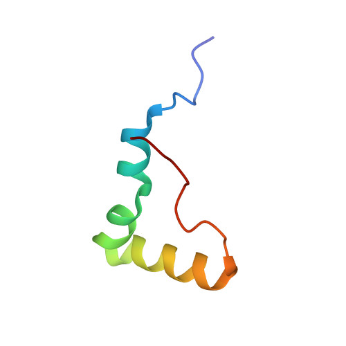 Detail Elongation Biologie Nomer 11