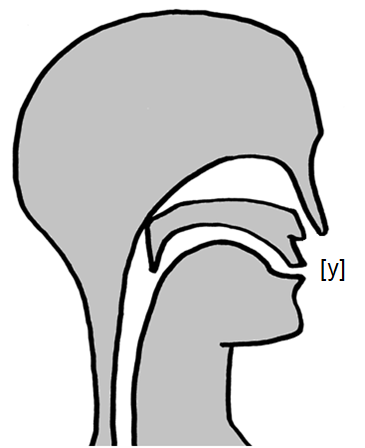 Detail Plural Efeu Nomer 16