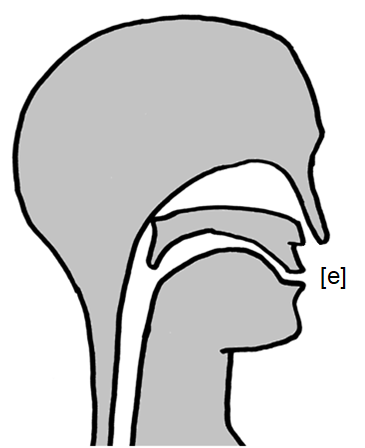 Detail Plural Efeu Nomer 22