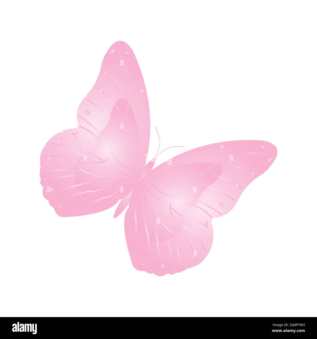 Detail Rosa Schmetterling Clipart Nomer 9