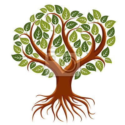 Detail Zweig Baum Nomer 10