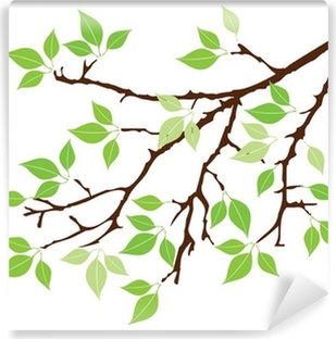 Detail Zweig Baum Nomer 16