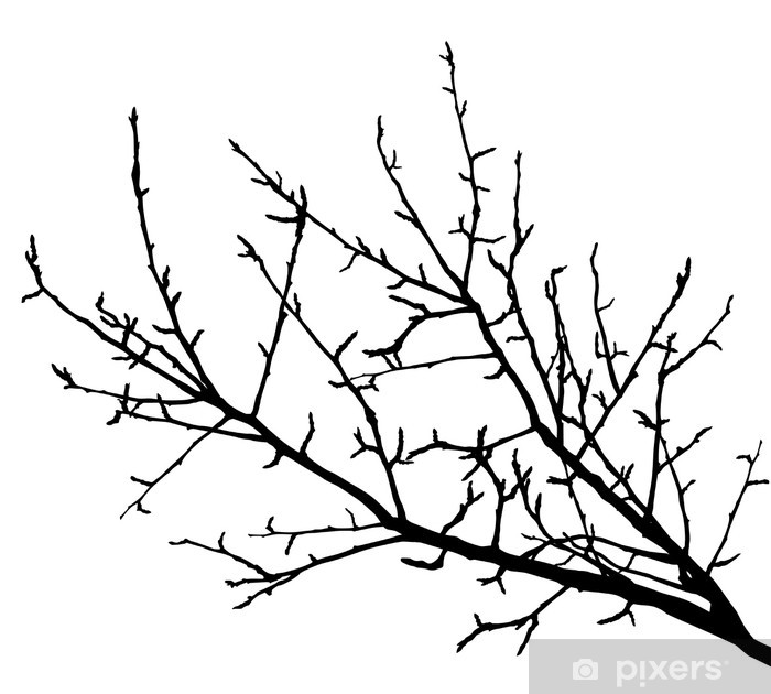 Detail Zweig Baum Nomer 5