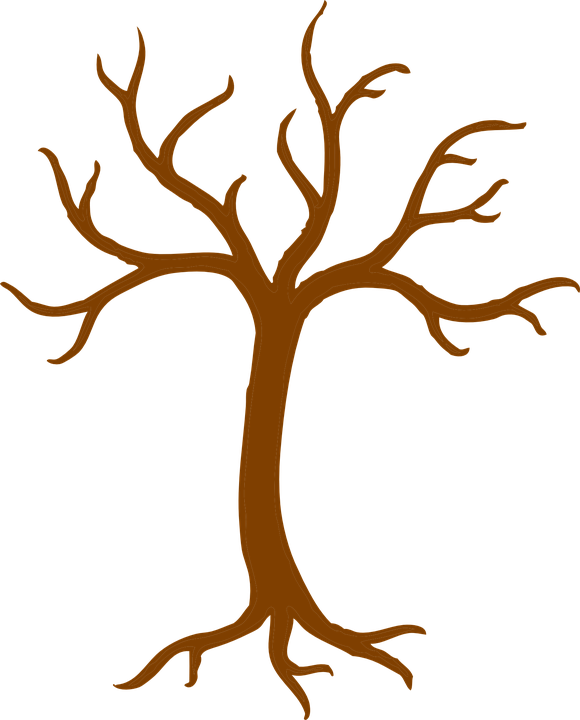 Detail Zweig Baum Nomer 8